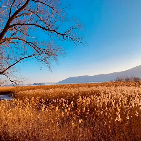 La Tana Del Ludo Lejlighed *