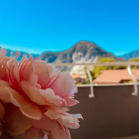 Lejlighed La Tana Del Ludo Baveno