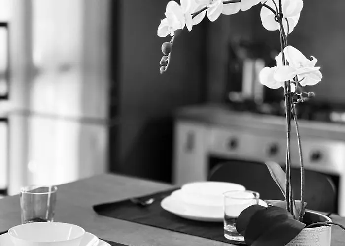 La Tana Del Ludo 아파트