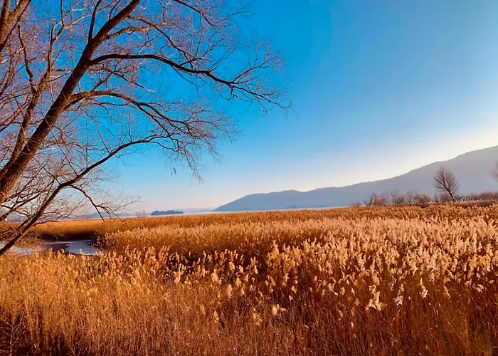 La Tana Del Ludo Apartamento *