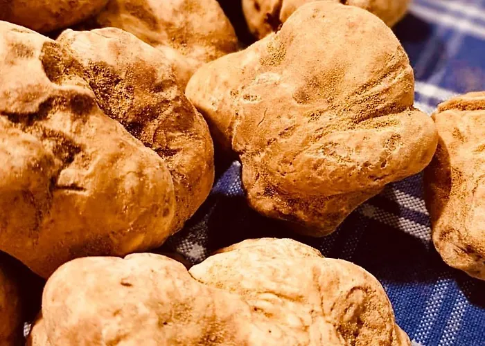 La Tana Del Ludo * Baveno