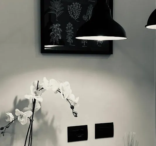 La Tana Del Ludo Apartamento